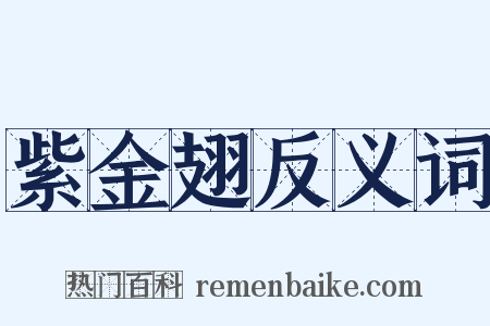 紫金翅反义词是什么意思的图片